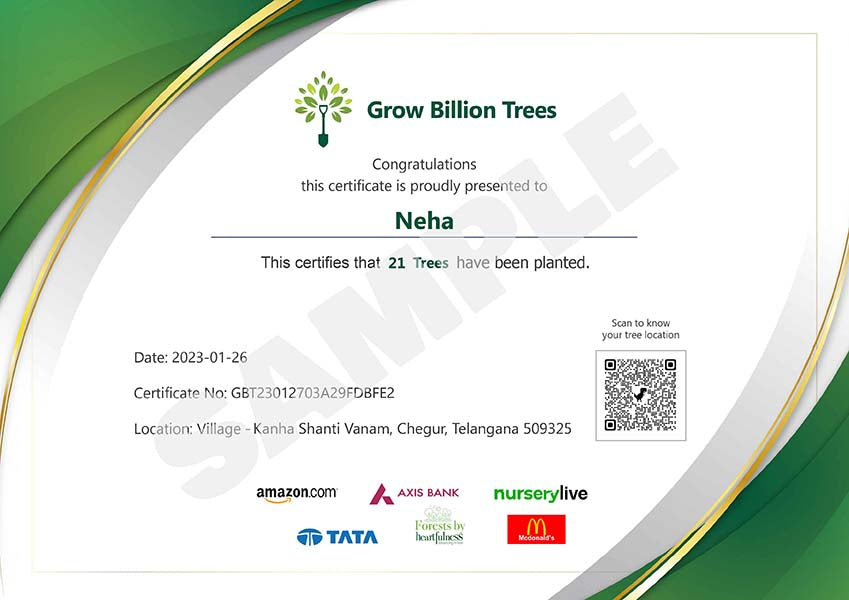 Trees as a Gift