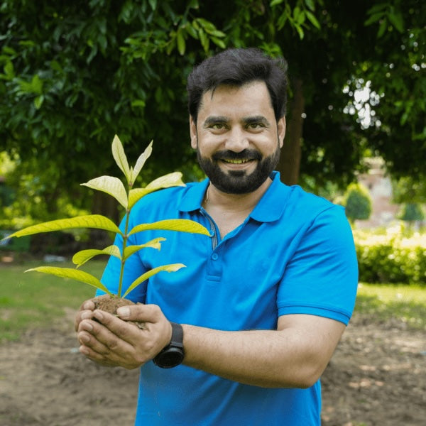 Trees for Environment