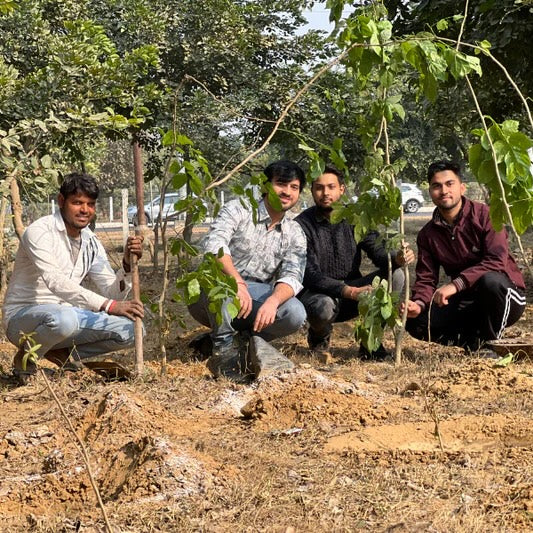 Trees for Corporates