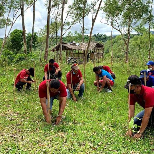 Tree Plantation For Occasions