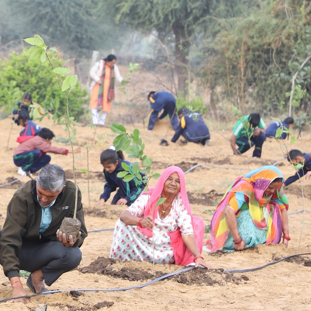 Our Tree Trees for Environment Day (5th Jun) – Grow Billion Trees Foundation